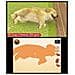 Ninten Dogs + Cats: Golden Retriever & New Friends, 3DS, Simulazione, E (tutti)  - Foto miniatura 9
